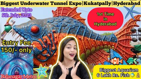 Biggest Under Water Tunnel Aquarium Expo 2023 1st Ever Underwater