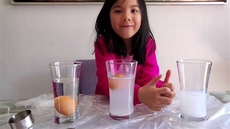 Floating Eggs Experiment Youtube