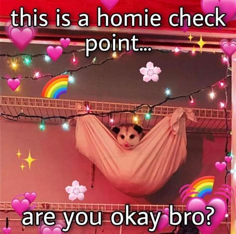 Fuck It Season 2 Of The Possum Checkpoints Idk If Any Of Y All Remember But These Were Weekly