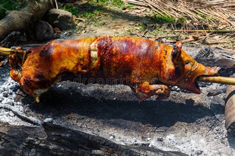 Suckling Pig Roasted On The Fire Filipino Food Lechon Stock Photo