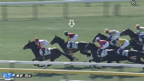 アスコルティアーモ快勝 初勝利 毎日が一口馬主！