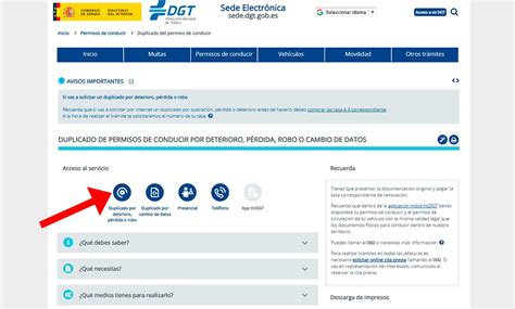 Duplicado Carnet De Conducir Online C Mo Solicitar Trucos