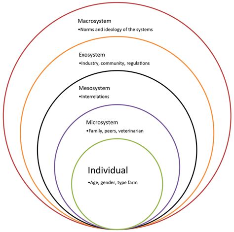 Social Work Systems Theory Diagram