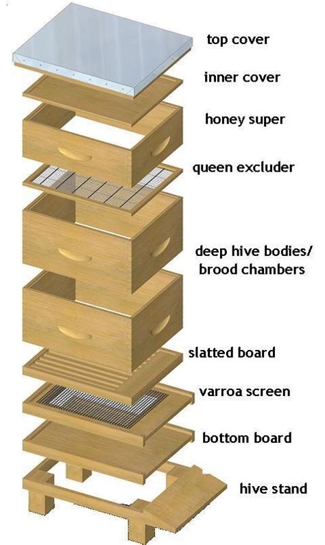 Langstroth Hive Setup — Masterson's Garden Center, Inc.