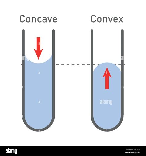 Cohesion Of Water Diagram