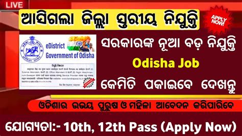 Odisha District Level Govt Job 2023 Job Vacancy 2023 Job Alert Odisha