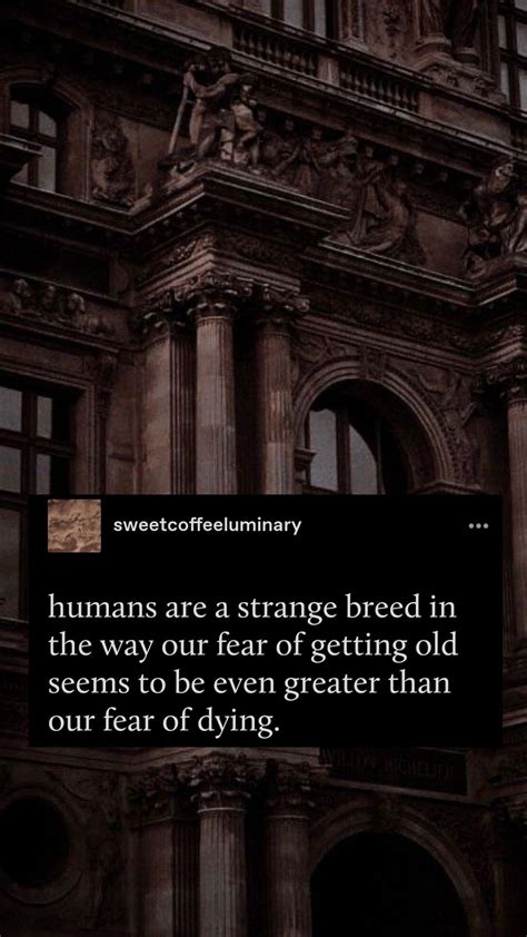 Qoutes Dark Academia Post Academia Aesthetic Sweetcoffeeluminary