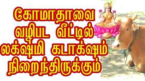 கோமாதா வழிபட வீட்டில் லக்ஷ்மி கடாக்ஷம் நிறைந்திருக்கும் Komata Youtube