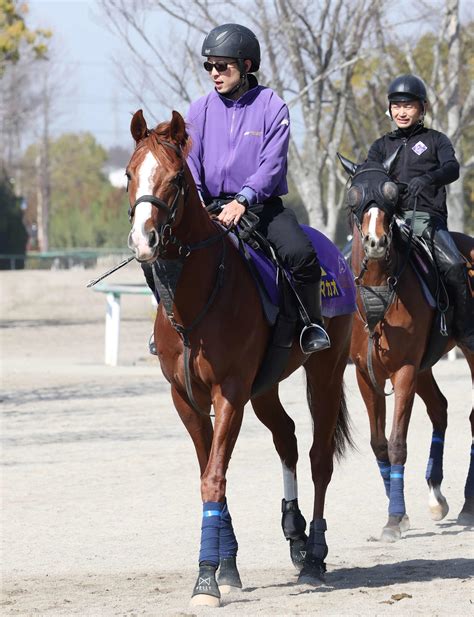 【高松宮記念】中2週トウシンマカオは調整程度も馬なりラスト11秒4と軽快／g1追い切り速報 競馬写真ニュース 日刊スポーツ