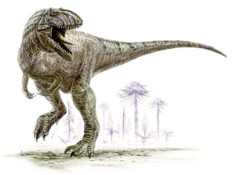 Giganotosaurus Pictures & Facts - The Dinosaur Database