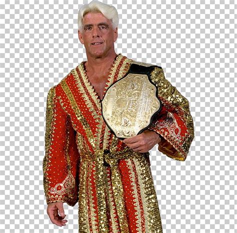 Ric Flair World Heavyweight Championship Wwe Raw Wwe Championship Big