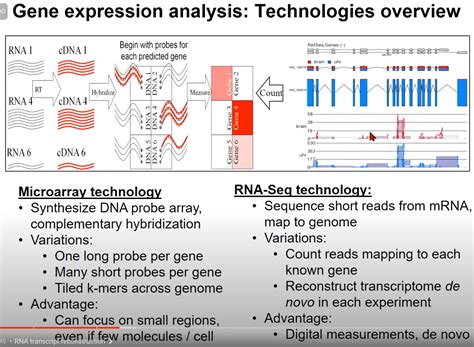 【rna Structures】rna Seq 分析 Rna转录的重构和前沿测序技术 转录组测序和分析原理 Csdn博客