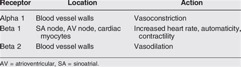 Alpha and Beta Adrenergic Receptors Affected by Acute Spinal Cord ...