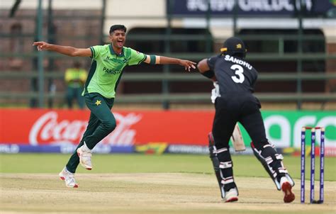 abdul subhan helps pakistan thrash  zealand  stay   mix