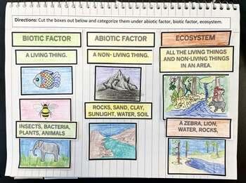 Abiotic, Biotic Factor, Ecosystem Science Interactive Notebook Activity