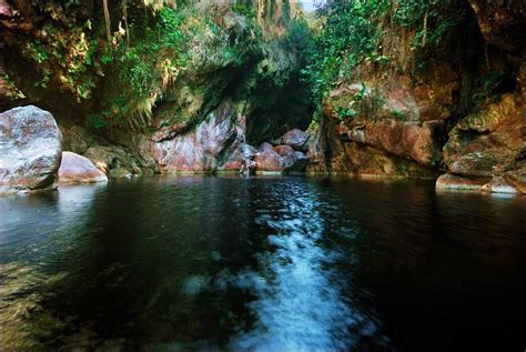 O El Dorado é aqui Parque Estadual da Serra do Aracá Barcelos