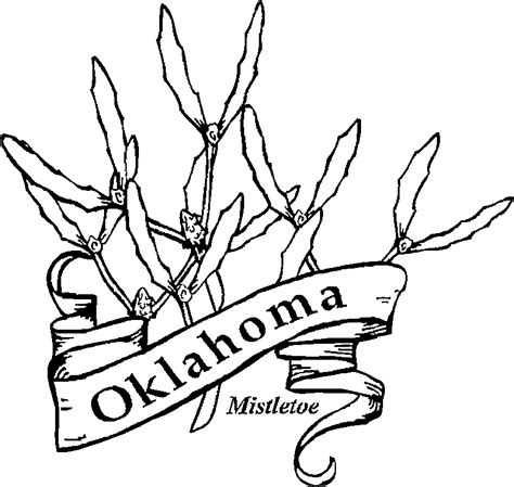 Oklahoma State Bird And Flower - Coloring Home