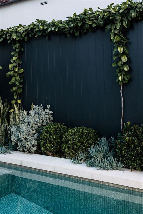 Textural Garden Bed Planting For A Beautiful Landscape