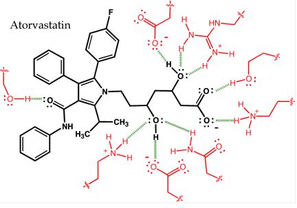 Motd Atorvastatin