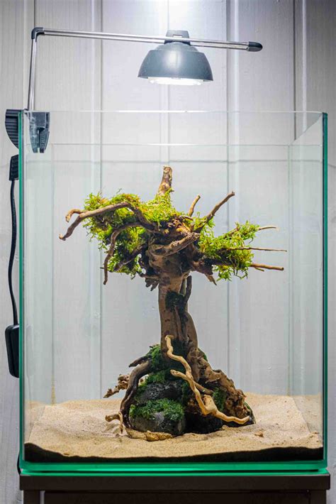 Aquascape Design Ref. A10 To Decorate Aquariums - Nympha Design