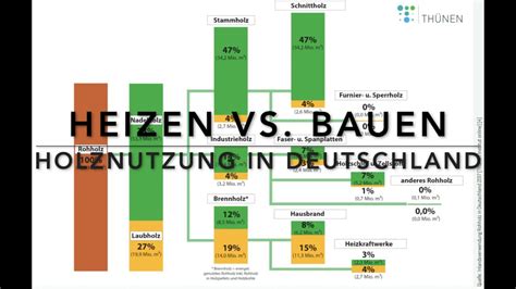 Was Passiert Mit Unserem Holz Verbrennen Oder Nutzen YouTube