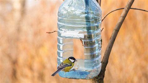 Comment faire pour que l eau pour les oiseaux ne gèle pas