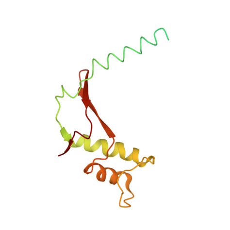 Rcsb Pdb Rqt Rna Polymerase I Twh Rrn Dna