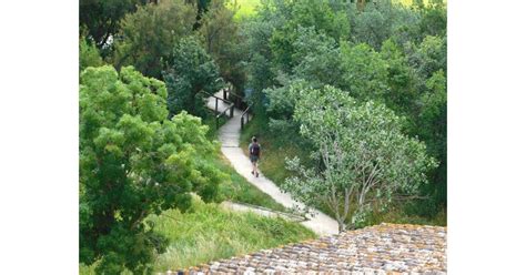 Parc Naturel Des Aiguamolls De L Empord Visit Sant Pere