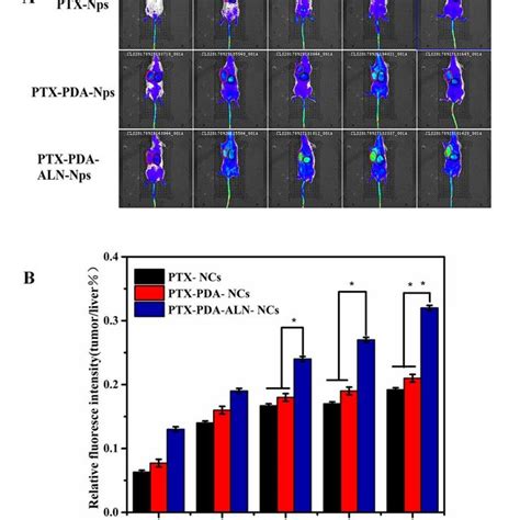 The Distribution Of Ptx Nps Ptx Pda Nps And Ptx Pda Aln Nps In K7m2 Wt Download Scientific