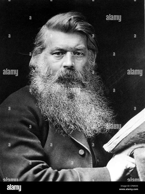 Joseph Swan 1828 1914 British Physicist And Chemist Stock Photo Alamy