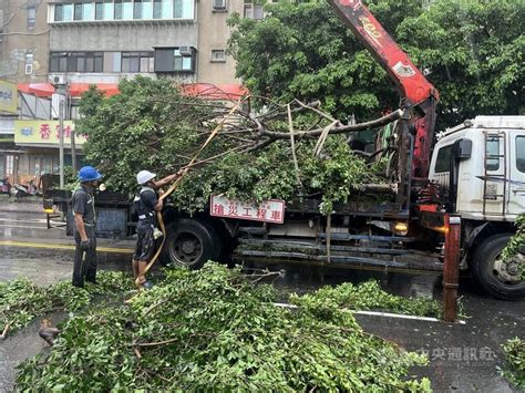 颱風卡努接近台灣 雙北多處路樹倒塌無人受傷 影 生活 中央社 Cna