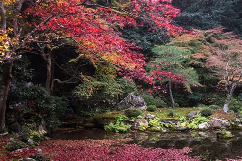 Autumn In Kyoto: Where To Find The Best Foliage (with a map ...