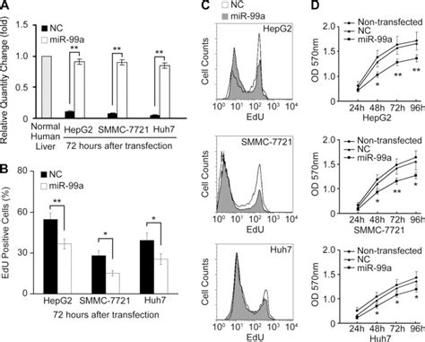 Microrna 99a Inhibits Hepatocellular Carcinoma Growth And Correlates