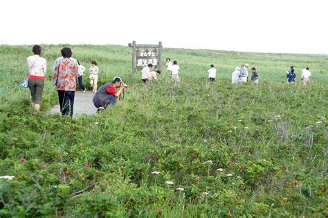 オムサロ原生花園 紋別観光案内所