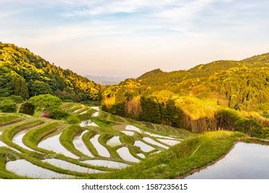 Rice Terraces Called Kamogawa City Chiba Stock Photo