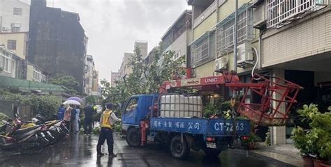 疑大雷雨釀土質鬆動！台中市驚傳大樹倒塌 2汽機車慘遭波及 社會萬象 生活 Nownews今日新聞