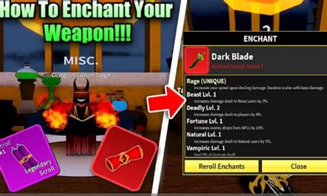 How to Enchant Sword Using Scrolls in Blox Fruits Update 20