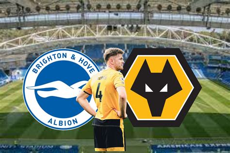 Things We Learned From Brighton V Wolves Always Wolves