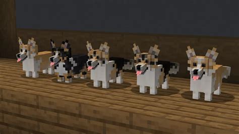 Corgis Better Dogs Minecraft Texture Pack