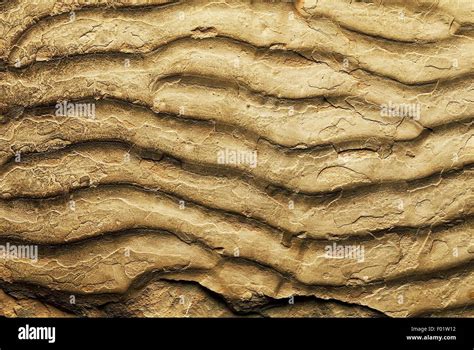 Ripple Marks Sedimentary Structures Formed By Water Current Or Waves