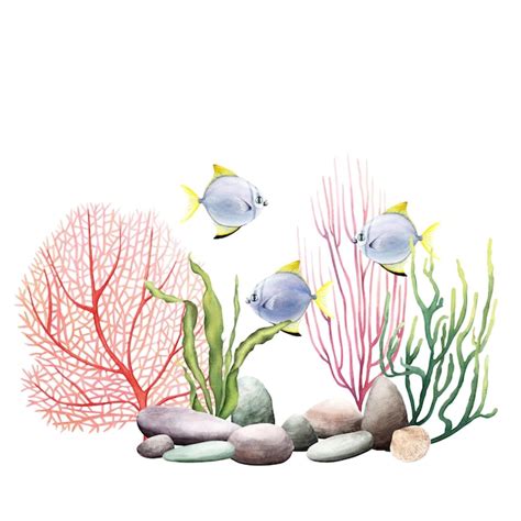 Composici N Submarina Con Plantas Y Peces De Arrecifes De Coral