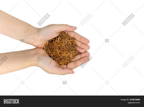 Catuaba Bark Tea Woman Image Photo Free Trial Bigstock