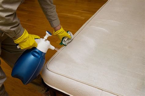 Mattress Cleaners in Cape Town | Chelsea Cleaning