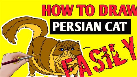 HOW TO DRAW PERSIAN CAT EASILY | simple cat drawing - YouTube