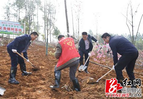 肖湘晖等县四大家领导开展“互联网 义务植树”活动 岳阳县政府网