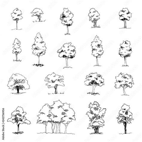 Set of hand drawn architect trees, vector sketch, architectural illustration Stock Vector ...