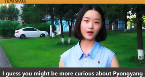 New North Korean Vlogger Pushes Propaganda Via Tiktok Copycat Nk News