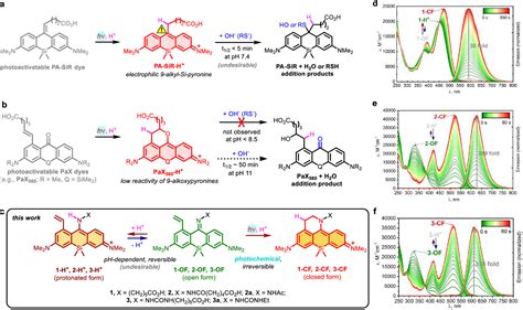 Photoactivatable Large Stokes Shift Fluorophores For Multicolor