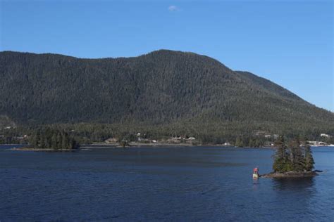 Alaska Treeline Stock Photos Pictures And Royalty Free Images Istock