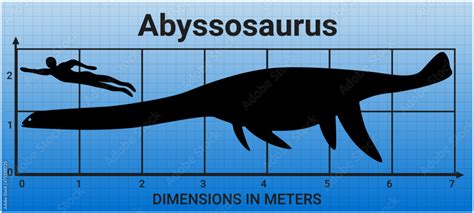 Sea monsters. Comparing the size of Abyssosaurus to the average adult ...